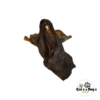 Oreilles de sanglier